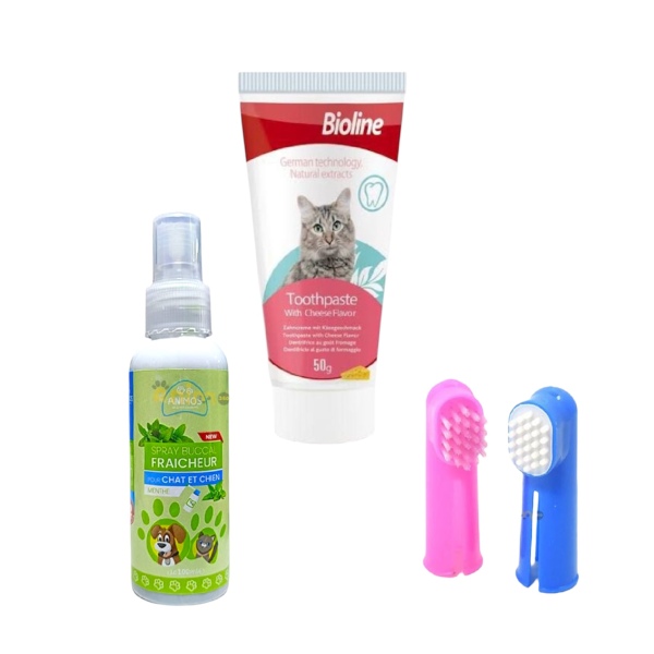 مجموعة العناية الكاملة بأسنان القطط - فرشاة، معجون وبخاخ منعش