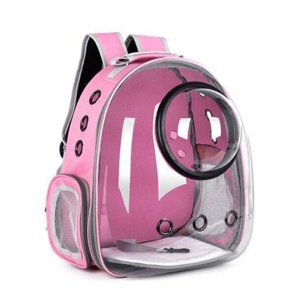 حقيبة ظهر شفافة لنقل القطط والحيوانات الأليفة - نافذة رائد فضاء - سفر آمن